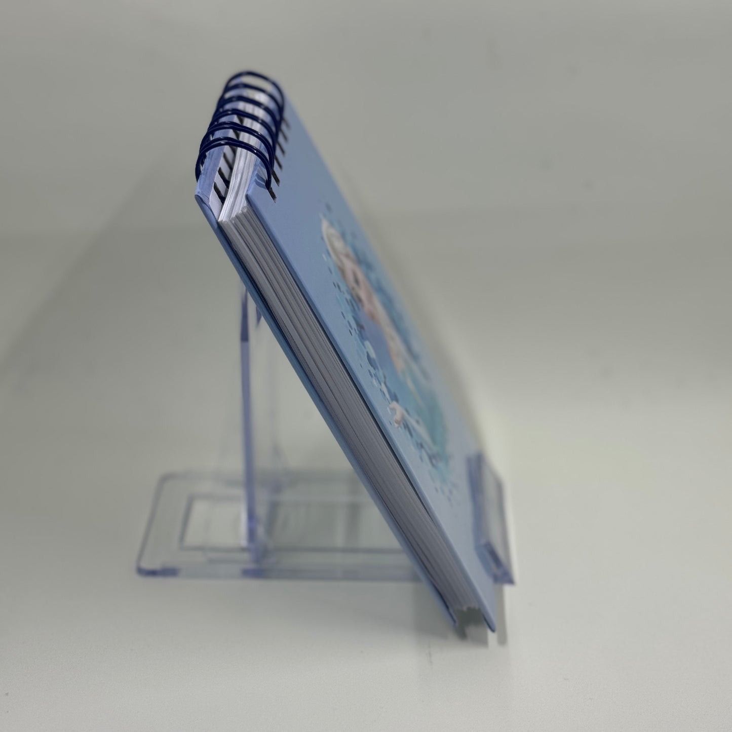 Elsa Mini Notebook