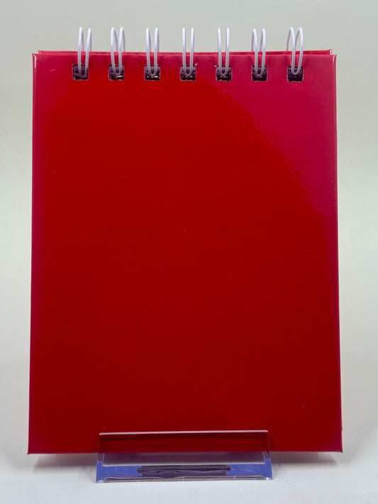 Spidey and his Amazing Friends Mini Notebook