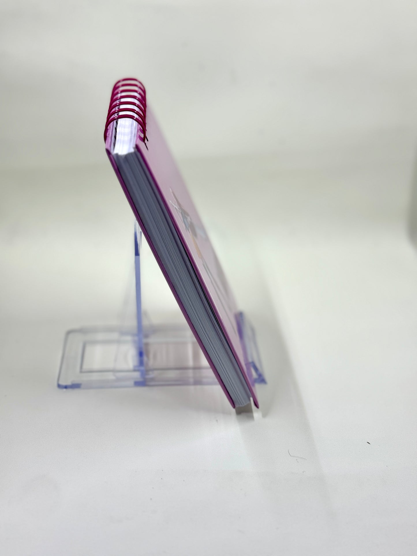 Mira Mini Notebook